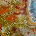 Belinda Kay - River system of Northwest WA