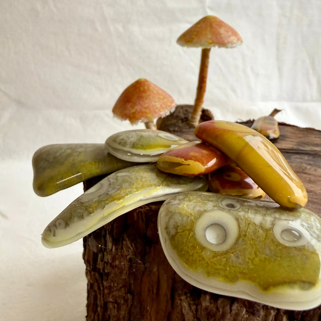 Belinda Kay - Orange you a fungi?