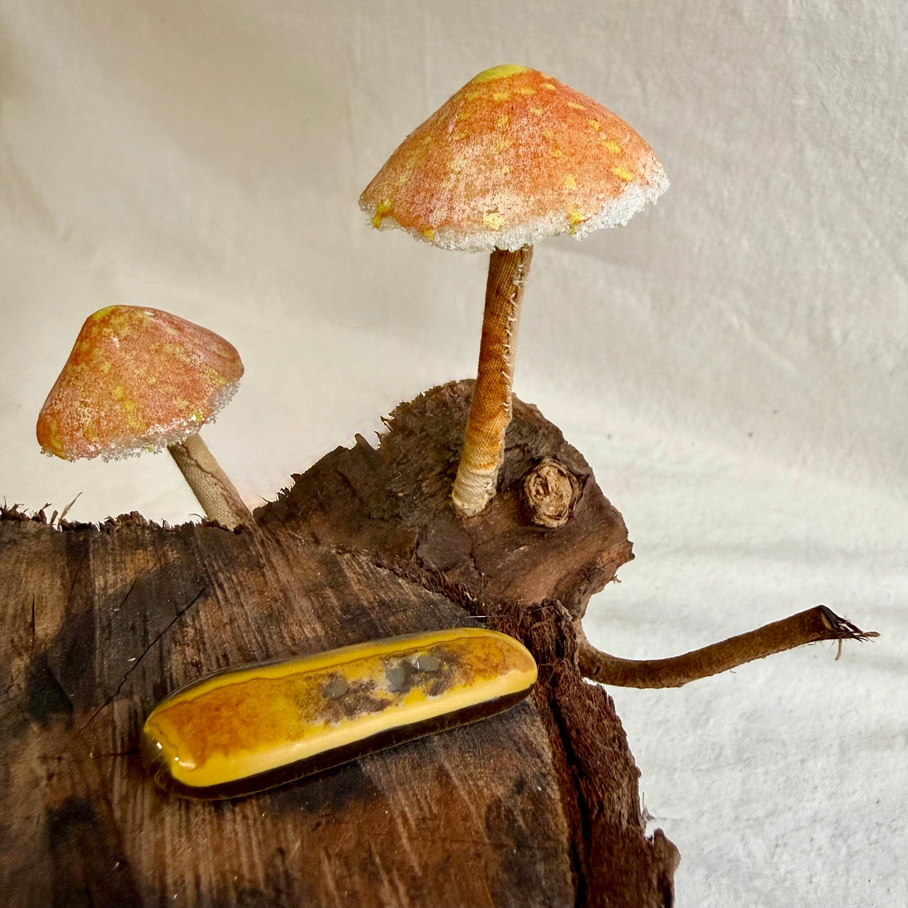 Belinda Kay - Orange you a fungi?