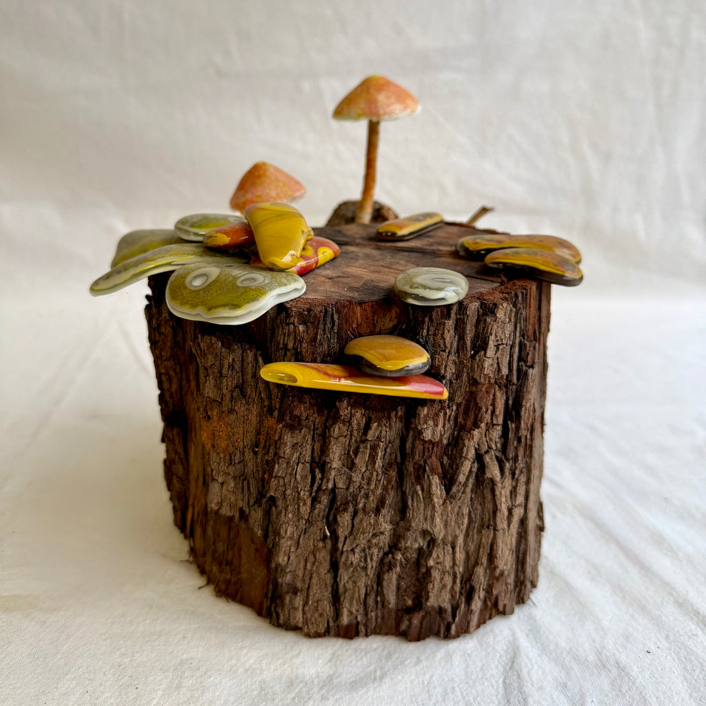 Belinda Kay - Orange you a fungi?