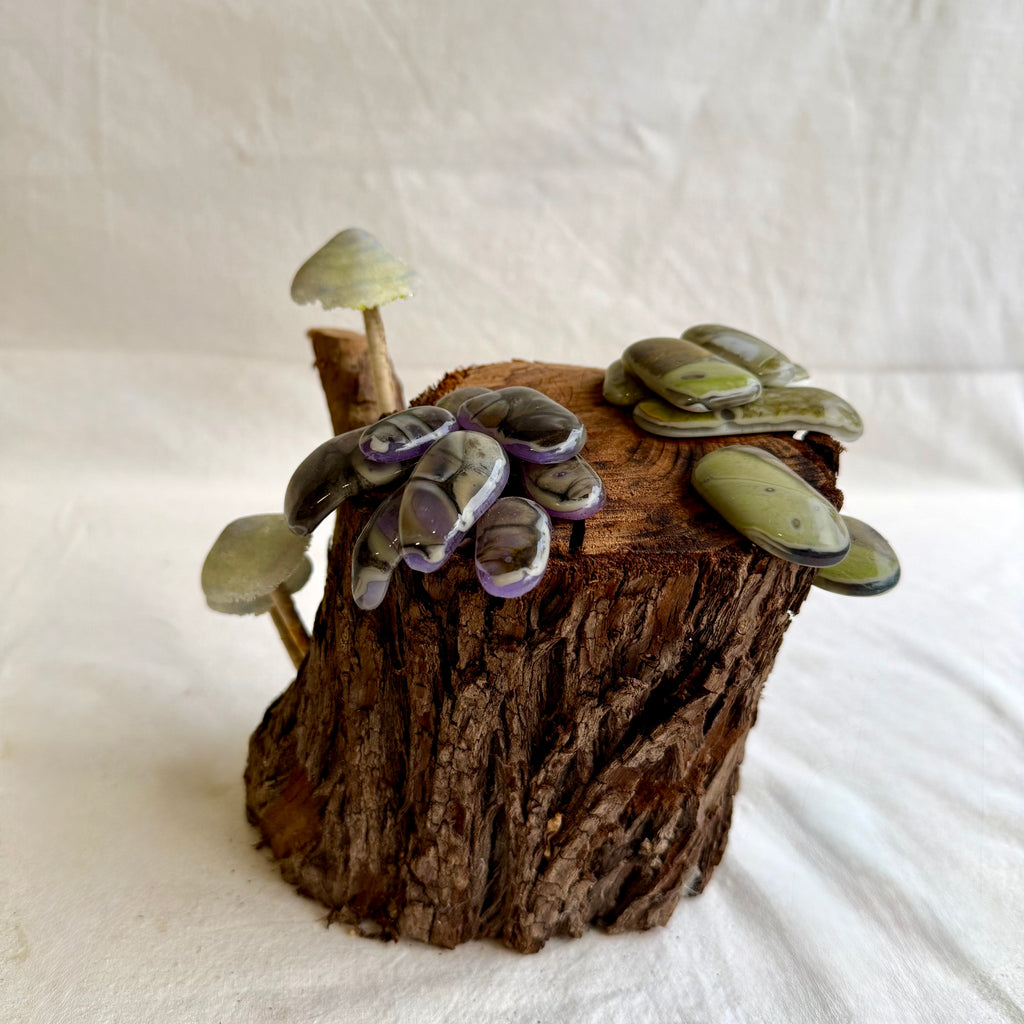 Belinda Kay - Shitake Melarky