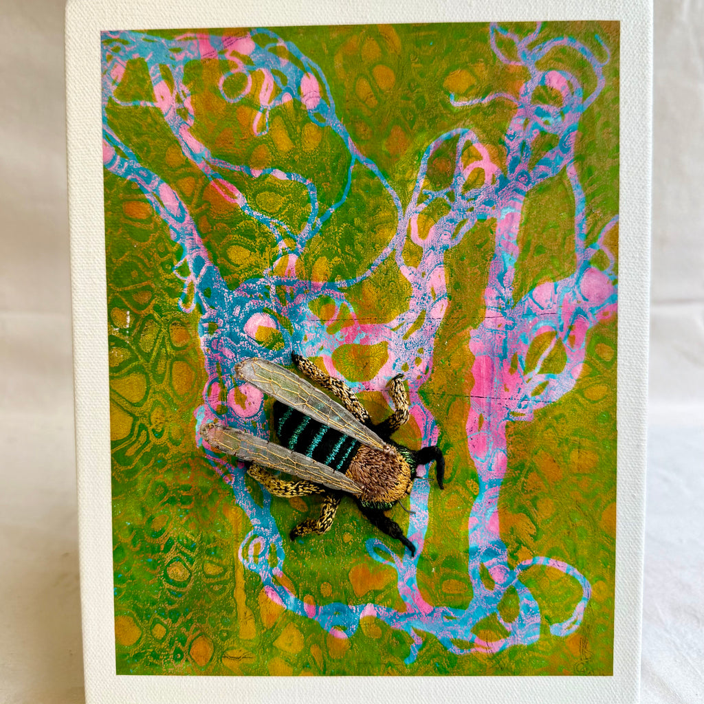 Belinda Kay - Blue banded Bee