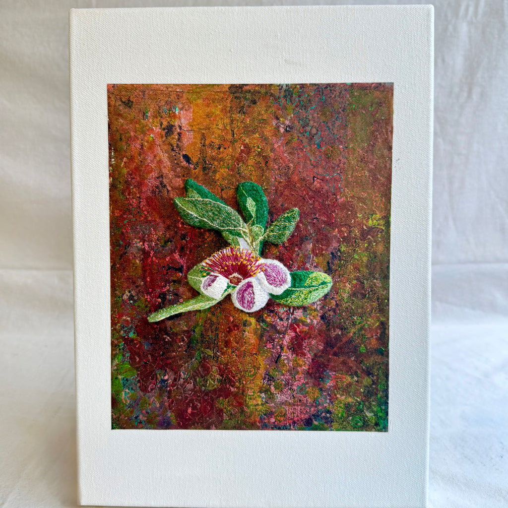 Belinda Kay - Feijoa Flower