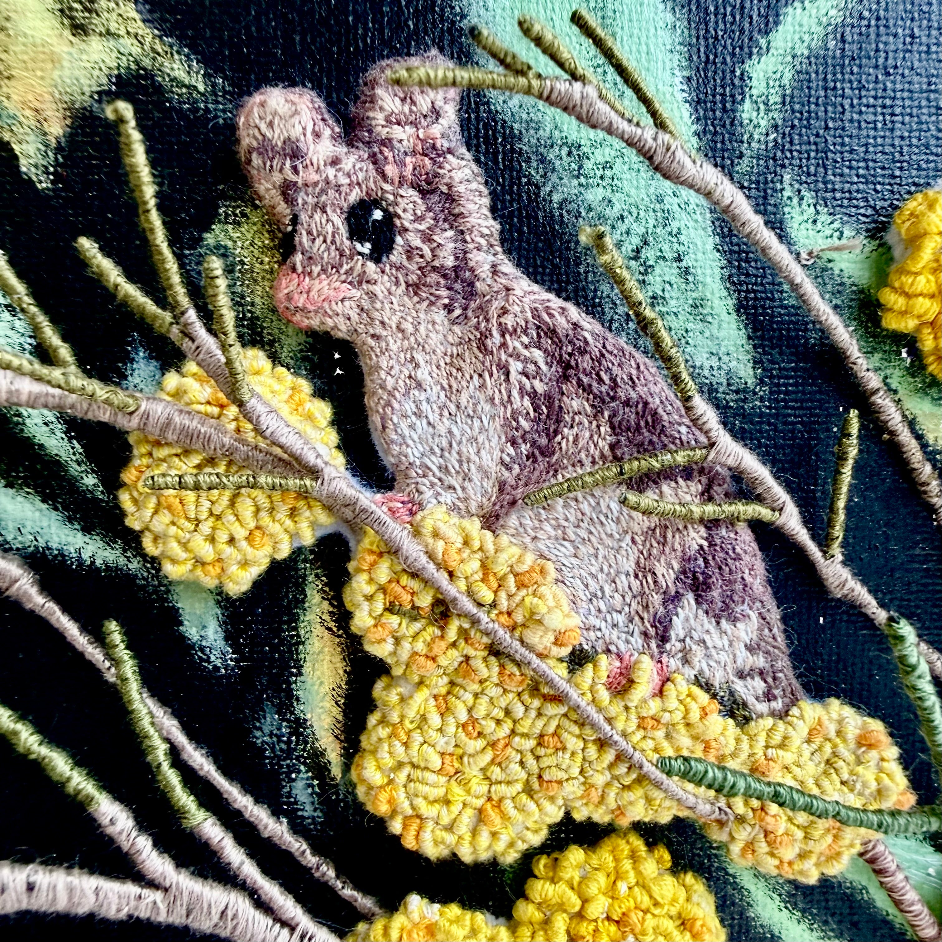 Belinda Kay - Pygmy Possum on Golden Wattle