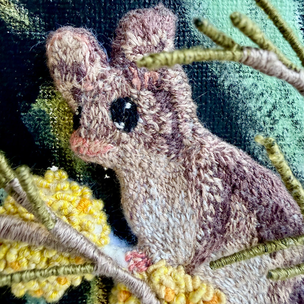Belinda Kay - Pygmy Possum on Golden Wattle