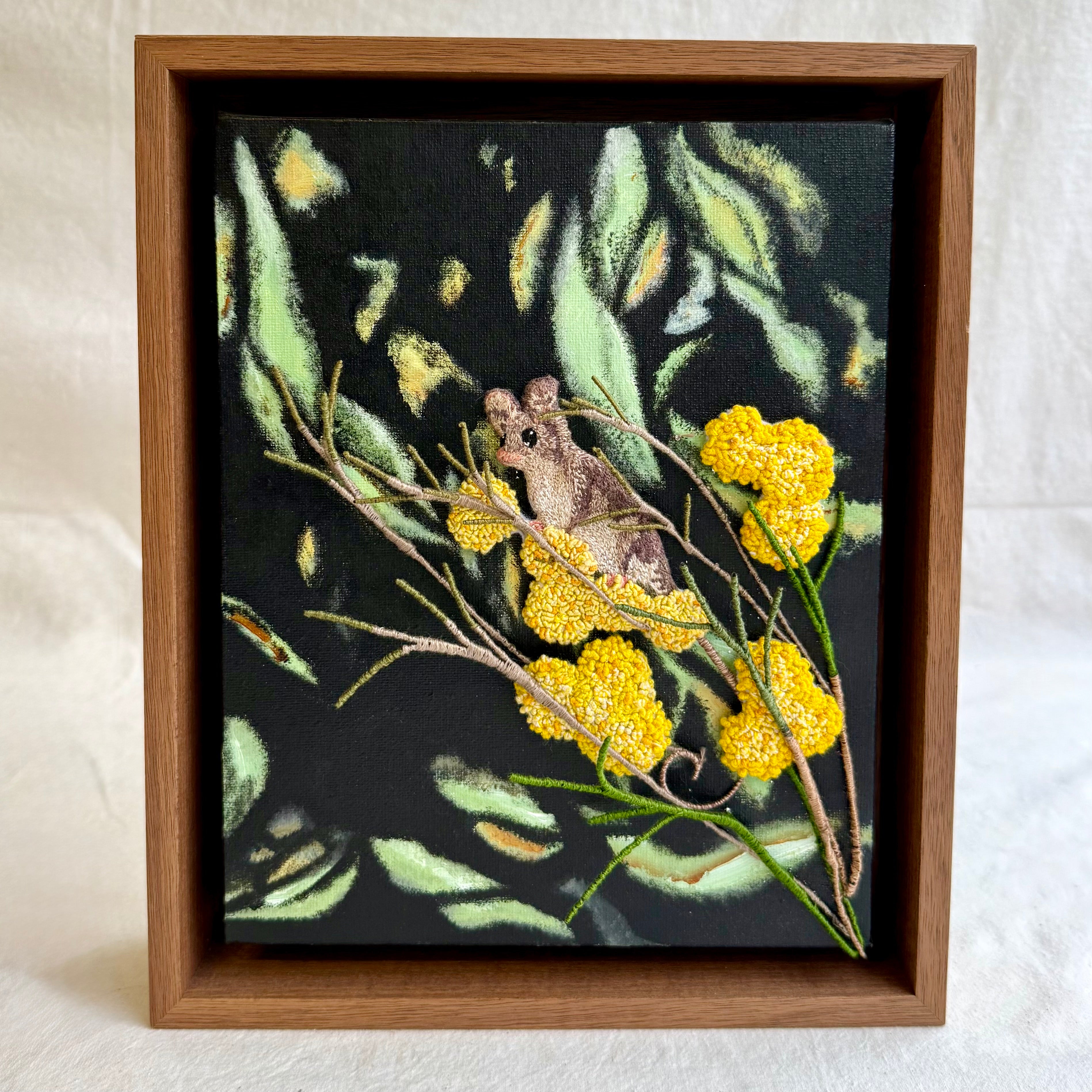 Belinda Kay - Pygmy Possum on Golden Wattle