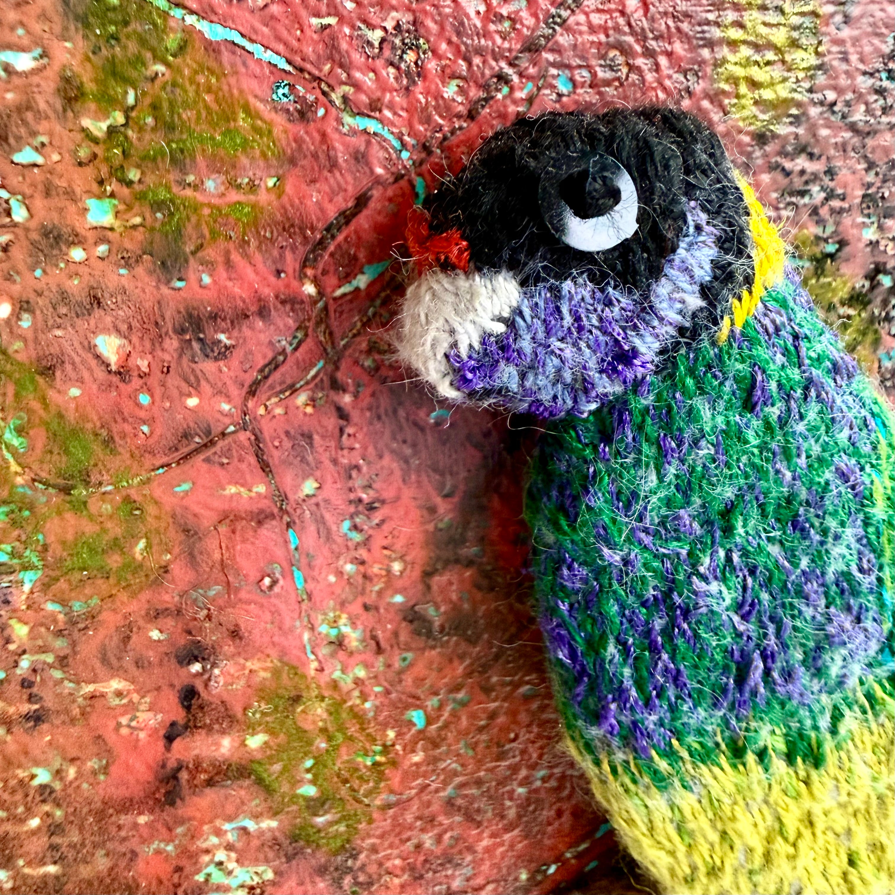 Belinda Kay - Ringneck Parrot