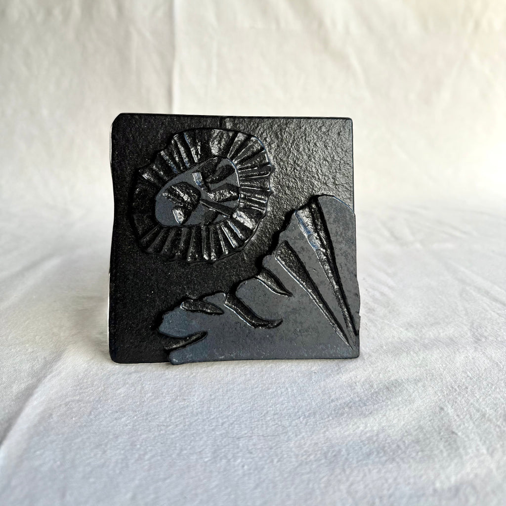 Belinda Kay - Blackhole Sunflower