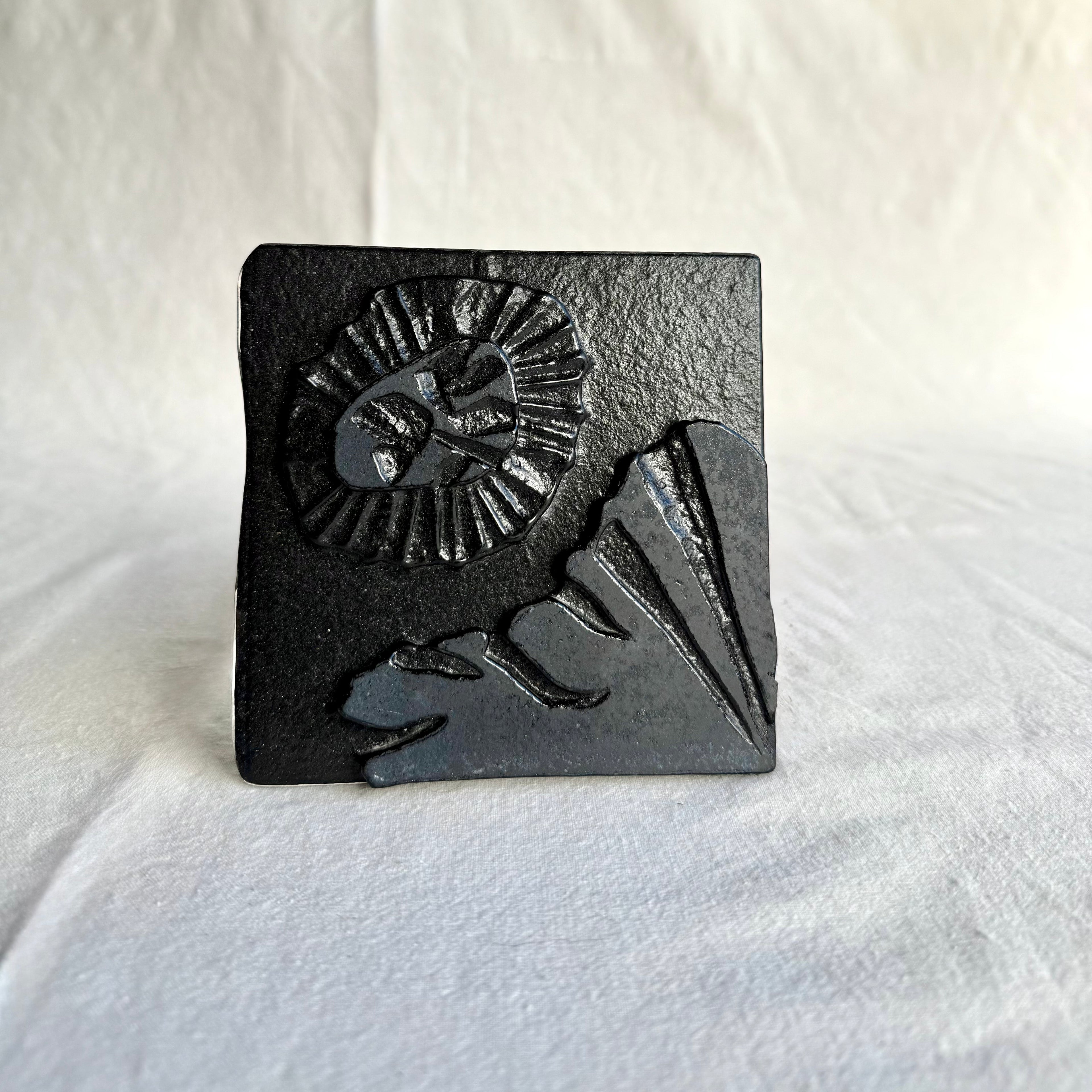 Belinda Kay - Blackhole Sunflower