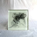 Belinda Kay - Exploded Seedpod