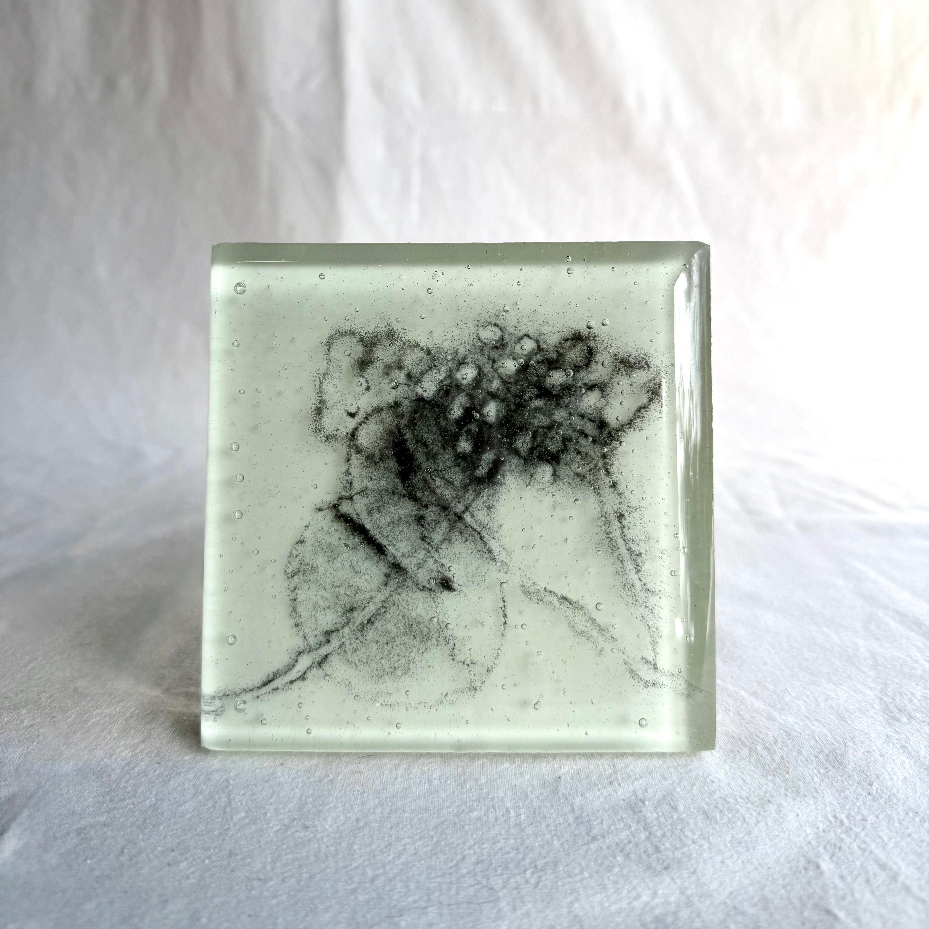 Belinda Kay - Exploded Seedpod