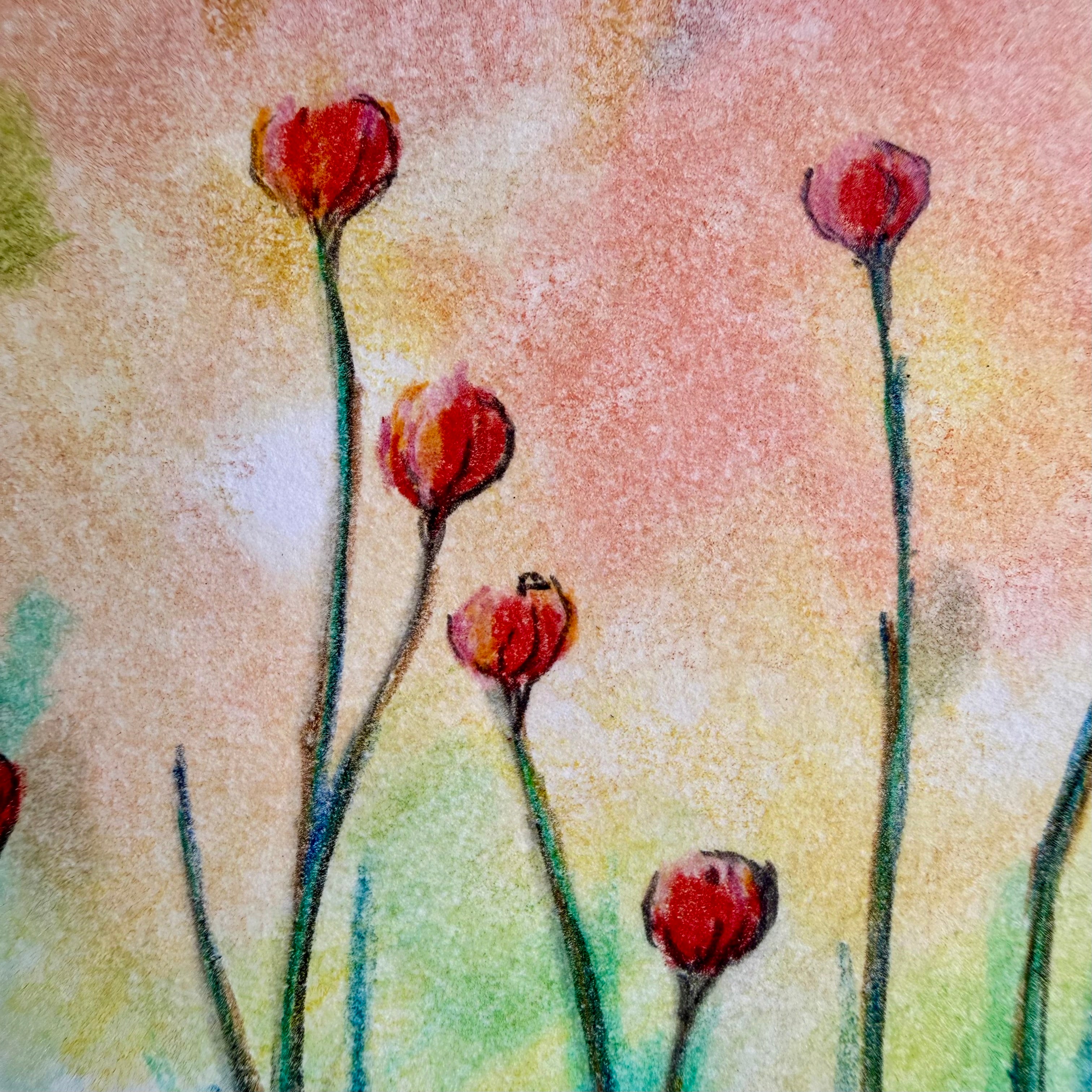 Belinda Kay - Fields at Dawn