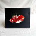 Belinda Kay - Garden Glimpses 3