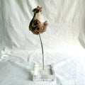 Belinda Kay - Peary Frill
