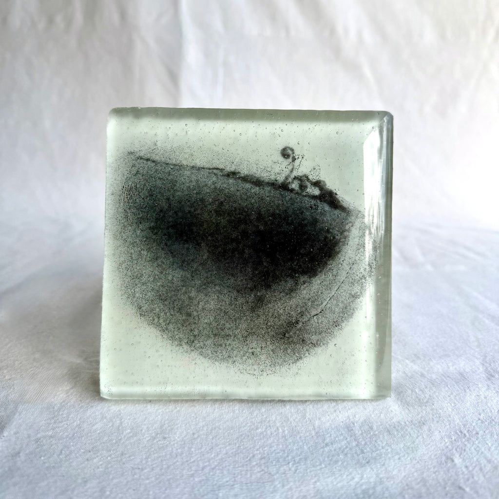 Belinda Kay - Sliced Seedpod