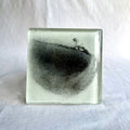 Belinda Kay - Sliced Seedpod