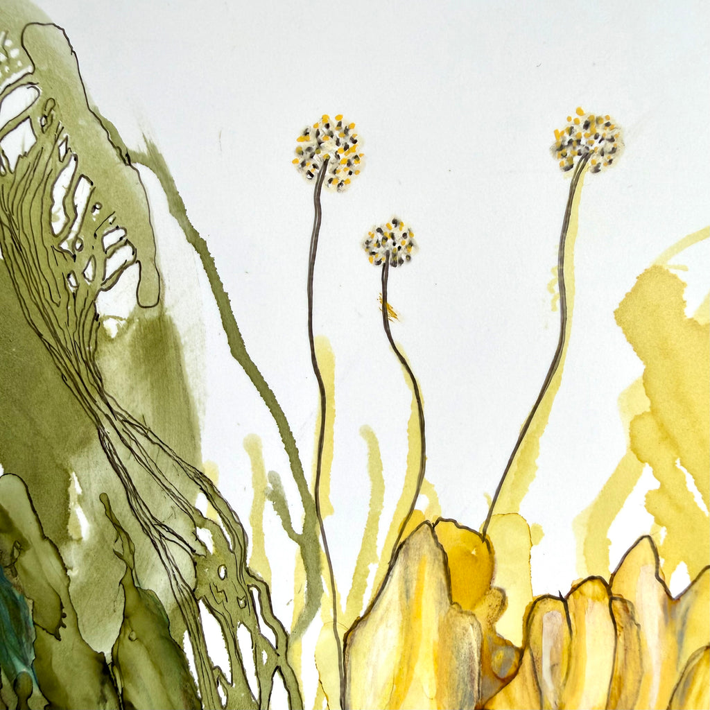 Belinda Kay - Trapse through our garden