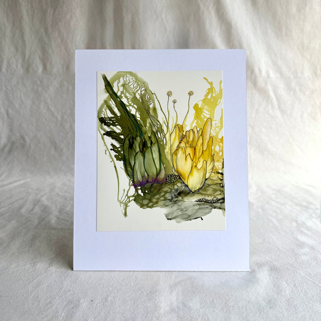 Belinda Kay - Trapse through our garden