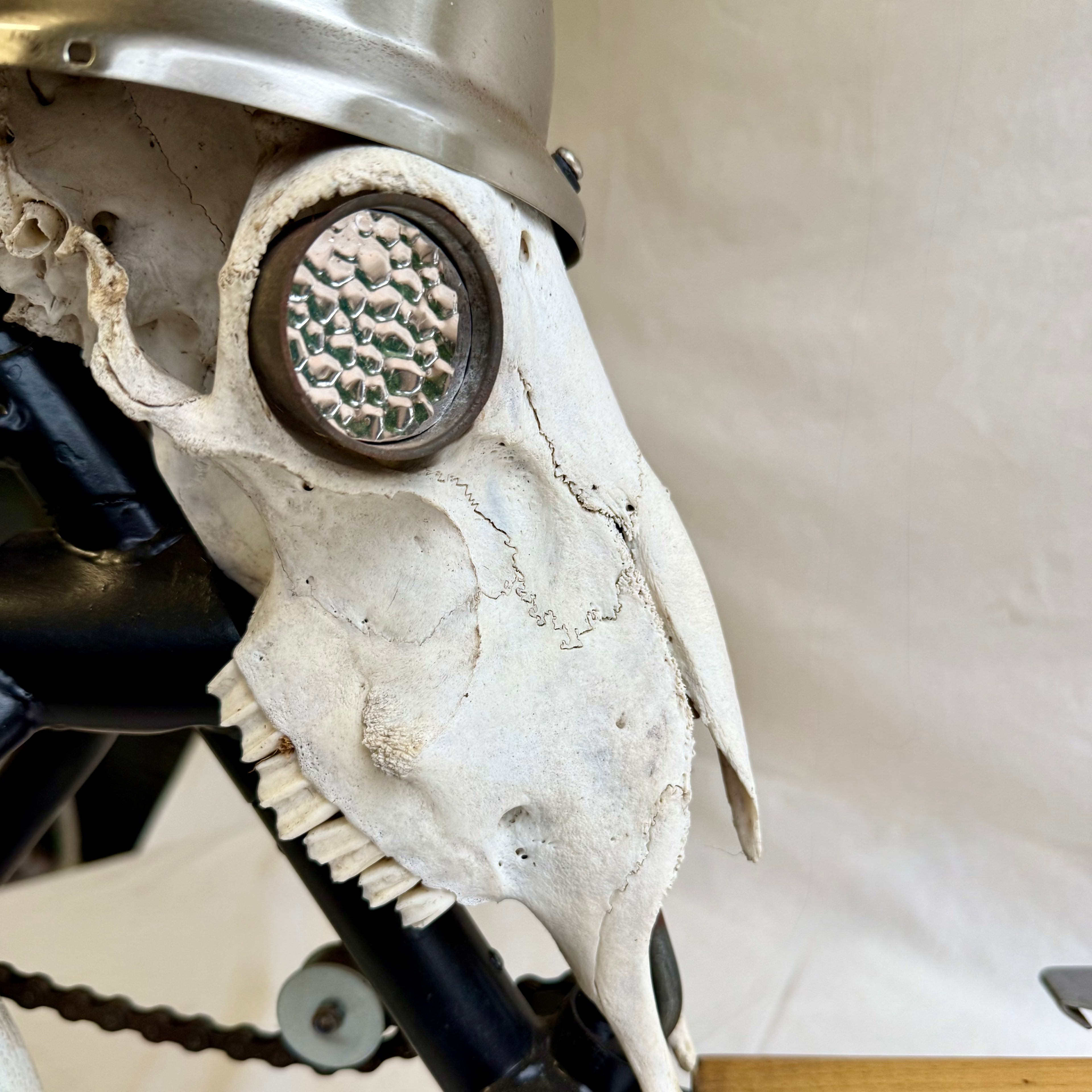 Ian Kay - Ghost rider